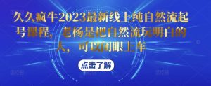 久久疯牛2023最新线上纯自然流起号课程，老杨是把自然流玩明白的人，可以闭眼上车-鱼梓小栈