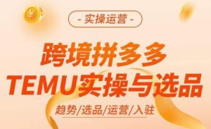 跨境拼多多TEMU实操与选品，​掌握平台运营方法技巧，选品避坑12条标准，爆款的底层思路等-鱼梓小栈