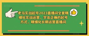 老马实战起号2023直播间全套精细化实战运营，学会正确的起号方式，精细化长期运营直播间-鱼梓小栈