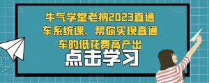 牛气学堂老衲2023直通车系统课，帮你实现直通车的低花费高产出-鱼梓小栈