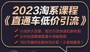 2023直通车低价引流玩法课程，小成本大流量，低价引流快速拉新收割，让你快速掌握直通车突破瓶颈-鱼梓小栈