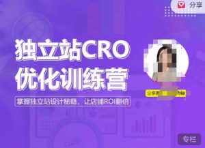 独立站CRO优化训练营，掌握独立站设计秘籍，打造高转化的独立站，让店铺ROI翻倍-鱼梓小栈