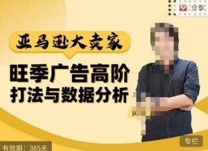 阿甘·亚马逊大卖家广告高阶打法与数据分析，走出传统广告误区；揭秘大卖惯用打法；数据驱动广告决策-鱼梓小栈
