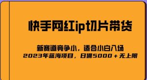 2023爆火的快手网红IP切片，号称日佣5000＋的蓝海项目，二驴的独家授权-鱼梓小栈