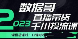 数据哥2023直播电商巨量千川付费投流实操课，快速掌握直播带货运营投放策略-鱼梓小栈