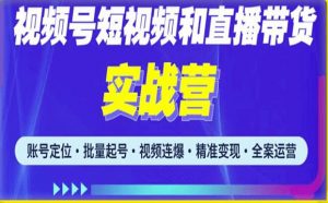 2023最新微信视频号引流和变现全套运营实战课程，小白也能玩转视频号短视频和直播运营-鱼梓小栈