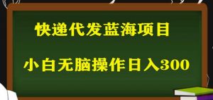 2023最新蓝海快递代发项目，小白零成本照抄也能日入300+-鱼梓小栈