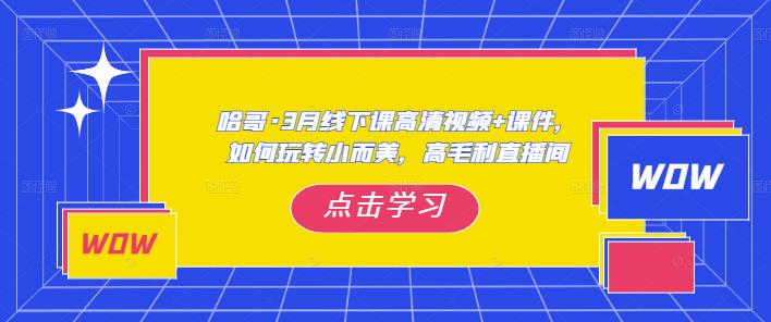 哈哥·3月线下实操课高清视频+课件，如何玩转小而美，高毛利直播间-鱼梓小栈