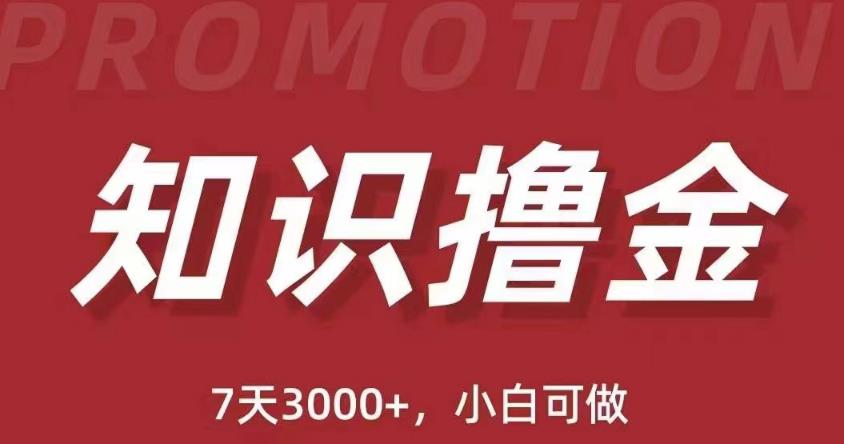 抖音知识撸金项目：简单粗暴日入1000+执行力强当天见收益(教程+资料)-鱼梓小栈