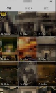 毒文案升级玩法，流量爆炸，5分钟一条原创作品，单个作品变现500+-鱼梓小栈