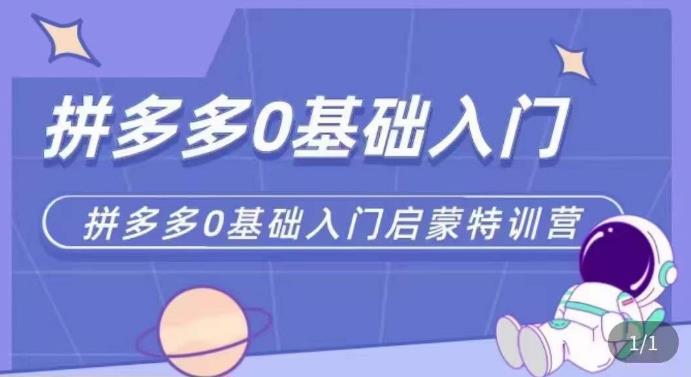 拼多多运营0-1实操特训营，拼多多0基础入门，从基础到进阶的可实操玩法-鱼梓小栈