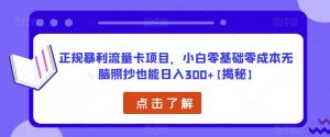 正规暴利流量卡项目，小白零基础零成本无脑照抄也能日入300+【揭秘】-鱼梓小栈