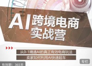 白龙老师·AI跨境电商实战营：从0-1精通Al的真正有效电商玩法，卖家如何利用Al快速超车-鱼梓小栈