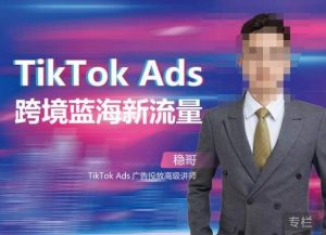 稳哥·如何投出高ROI的TikTok广告，开拓独立站卖家流量新蓝海-鱼梓小栈