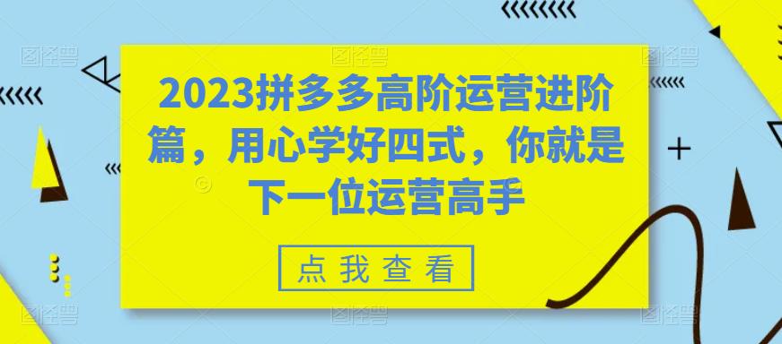 2023拼多多高阶运营进阶篇，用心学好四式，你就是下一位运营高手-鱼梓小栈