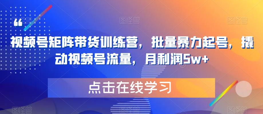 视频号矩阵带货训练营，批量暴力起号，撬动视频号流量，月利润5w+-鱼梓小栈