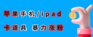 最新利用苹果手机/ipad的ios系统，卡道具搬短视频，百分百过原创-鱼梓小栈