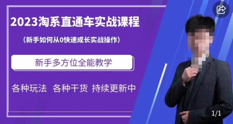 2023淘系直通车保姆式运营讲解，新手如何从0快速成长实战操作，新手多方位全能教学-鱼梓小栈