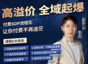 逸风-拼多多高溢价全域起爆，6大课程体系，付费玩法全套实操-鱼梓小栈