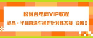 松鼠会电商VIP教程：松鼠《付费推广标品·半标直通车操作针对性答疑&诊断》-鱼梓小栈