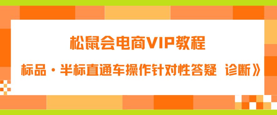 松鼠会电商VIP教程：松鼠《付费推广标品·半标直通车操作针对性答疑&诊断》-鱼梓小栈