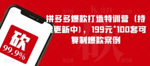 拼多多爆款打造特训营(持续更新中),199元*100套可复制爆款案例-鱼梓小栈