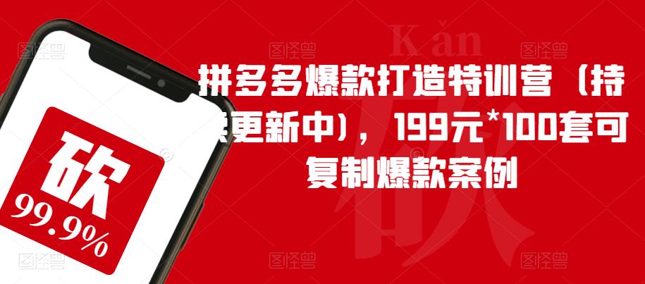 拼多多爆款打造特训营（持续更新中)，199元*100套可复制爆款案例-鱼梓小栈