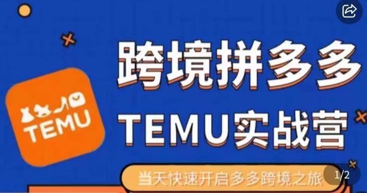 大鹏出海·拼多多跨境temu运营指导，开店注册+选品+核价上架，日出千单实战课-鱼梓小栈