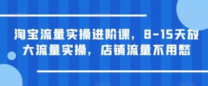 淘宝流量实操进阶课，8-15天放大流量实操，店铺流量不用愁-鱼梓小栈