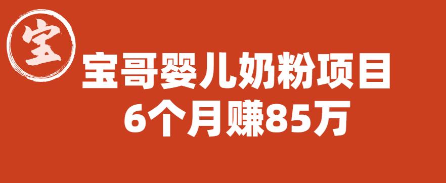 宝哥婴儿奶粉项目，6个月赚85w【图文非视频】【揭秘】-鱼梓小栈
