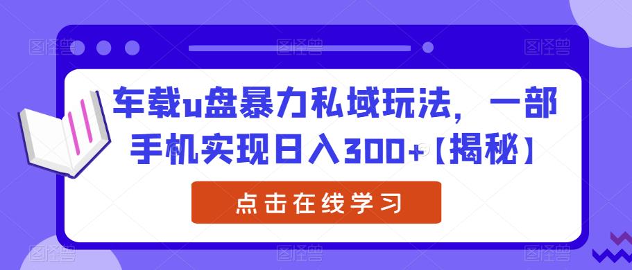 车载u盘暴力私域玩法，一部手机实现日入300+【揭秘】-鱼梓小栈