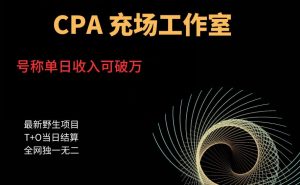 cpa充场工作室，号称单日收入10000+（揭秘）-鱼梓小栈