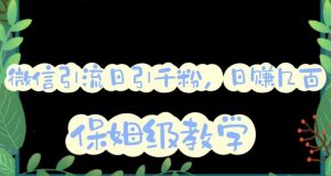 微信互推圈半自动引流方案,矩阵操作日引千人思路【详细视频教程】-鱼梓小栈