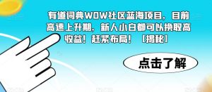 有道词典WOW社区蓝海项目，目前高速上升期，新人小白都可以换取高收益！赶紧布局！【揭秘】-鱼梓小栈