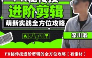 PR进阶剪辑培训班，让你快速成为剪辑大师12节视频课程+素材！-鱼梓小栈