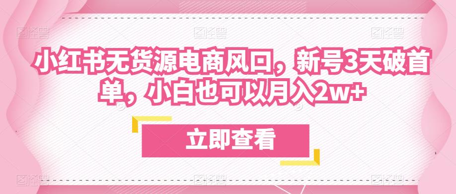 众狼电商余文小红书无货源电商风口，新号3天破首单，小白也可以月入2w+-鱼梓小栈