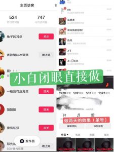 一天做完别一辈子的视频制作最近很火的《1000个野路子信息差》100%过原创【揭秘】-鱼梓小栈