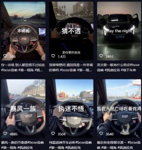 抖音开车视频项目，0基础操作，每天五分钟，月入1W+【揭秘】-鱼梓小栈