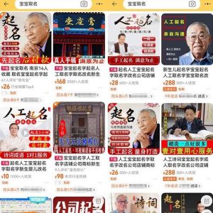 拆解小红书宝宝起名虚拟副业项目，一条龙实操玩法分享给你（教程+软件）-鱼梓小栈