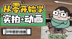 从零开始学实拍加动画，实拍加动画创意教程-鱼梓小栈