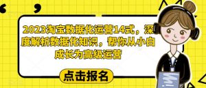 2023淘宝数据化运营14式,深度解析数据化知识,帮你从小白成长为高级运营-鱼梓小栈