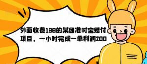 外面收费188的美团准时宝赔付项目，一小时完成一单利润200【仅揭秘】-鱼梓小栈