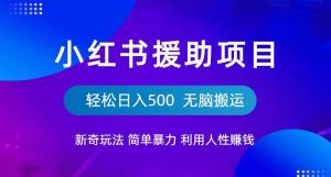 小红书援助项目新奇玩法，简单暴力，无脑搬运轻松日入500【揭秘】-鱼梓小栈