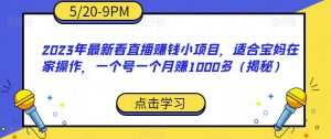 2023年最新看直播赚钱小项目,适合宝妈在家操作,一个号一个月赚1000多(揭秘)-鱼梓小栈