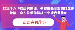 蟹老板·打爆个人IP底层实操课，教你成熟专业的打造IP技能，全方位带你做成一个能商业化IP-鱼梓小栈