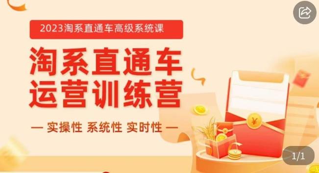 冠东·2023淘系直通车高级系统课，​实操性，系统性，实时性，直通车完整体系教学-鱼梓小栈