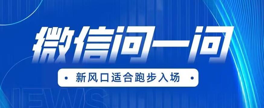全网首发微信问一问新风口变现项目（价值1999元）【揭秘】-鱼梓小栈