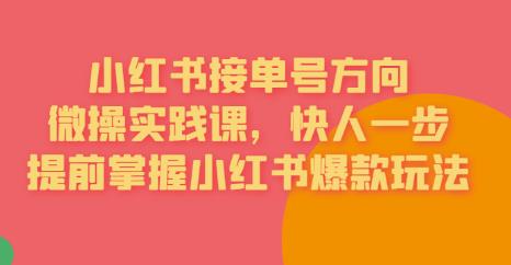 接单号方向·小红书微操实践课，快人一步，提前掌握小红书爆款玩法-鱼梓小栈