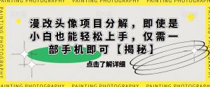 漫改头像项目分解，即使是小白也能轻松上手，仅需一部手机即可【揭秘】-鱼梓小栈
