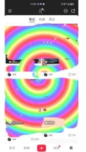 冷门高利润项目，小红书带货，无脑搬运，一部手机实现日入500+【揭秘】-鱼梓小栈